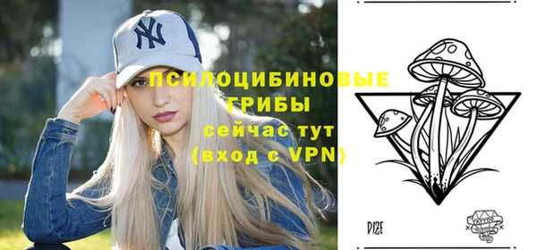 стаф Горняк