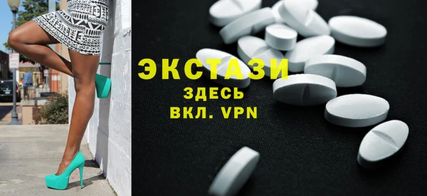 стаф Горняк