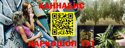 крисы Бийск