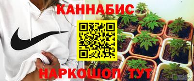 крисы Бийск