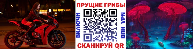 Псилоцибиновые грибы Magic Shrooms  цены наркотик  Десногорск 
